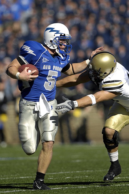 的龙袍礼服 的龙袍礼服