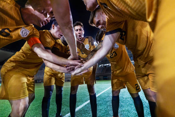 環境的雙重 環境的雙重